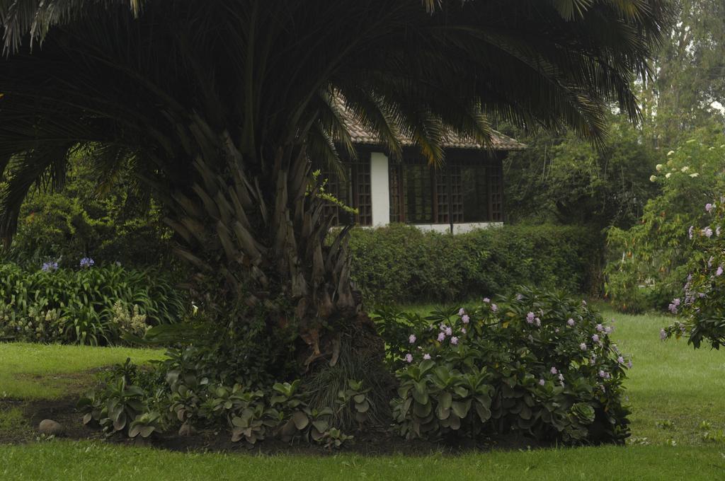 Molino San Juan Bed & Breakfast กายัมเบ ภายนอก รูปภาพ